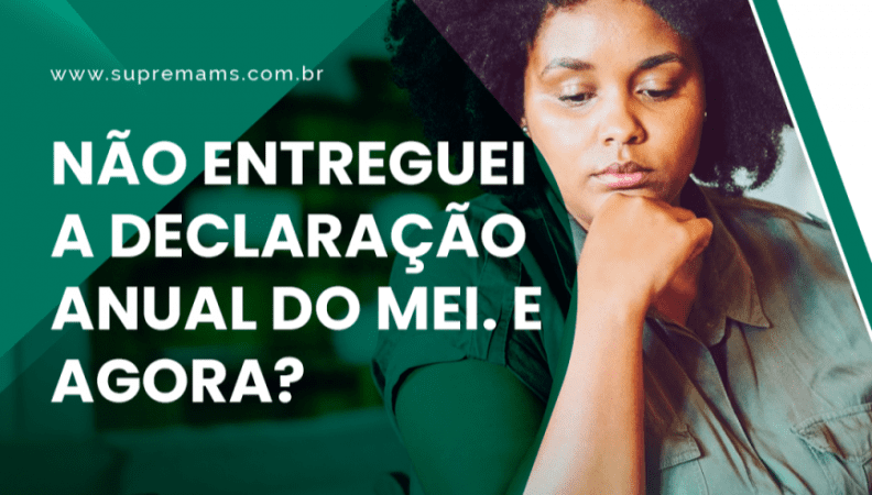 Declaração Anual do MEI